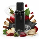 ⁦French Avenue Vulcan Black Friday⁩ - الصورة ⁦2⁩